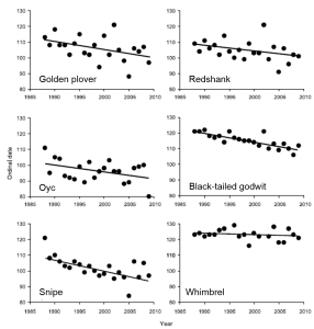 Figure 1: Changes in first spring arrival dates of six species of waders in southern Iceland from 1988 to 2009 (reproduced from Gunnarsson & Tómasson 2011)