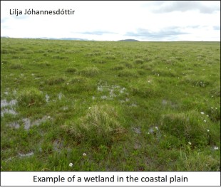 blog coastal wetland