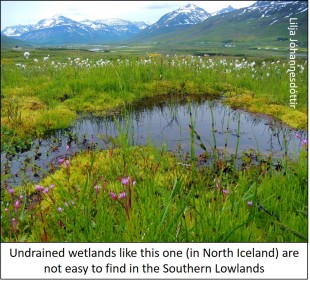 blog nice wetland